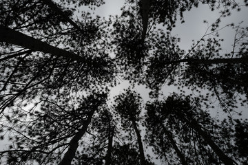 Nature valley farm trail