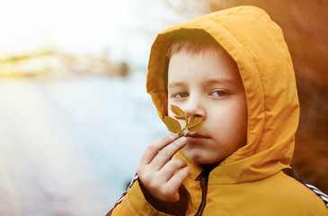 Little boy sniffing a leaf.