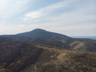 Fototapeta premium The concept of healthy air and healthy living. Aerial photography. Forest on the downhill of the mountain.