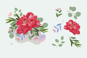 Set of tropical flower and branch. Flower red pink paeonia with rim gloden petal, green eucalyptus leaves. Wedding concept with flowers. Floral poster. Vector inviting card design