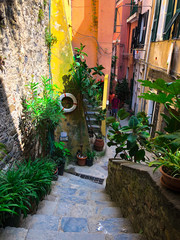 Beautiful narrow street with green garden and colorful buildings in Vernazza, Italian Riviera, Italy, Europe.