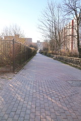 city block on a spring morning