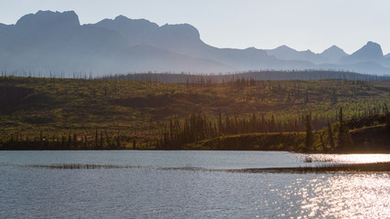 nature scenaries along the river Athabaska, Jasper National Park, Alberta, Canada