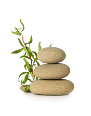 Zen grey stones and green bamboo escape isolated on white background