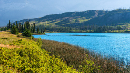 nature scenaries along the river Athabaska, Jasper National Park, Alberta, Canada