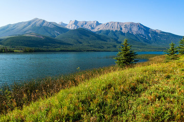 Fototapeta na wymiar nature scenaries along the river Athabaska, Jasper National Park, Alberta, Canada