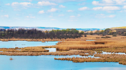 Spring landscape with river, reeds and forest in the distance