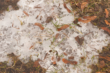 Texture of ice and snow on frozen puddles in a winter park with selective focus