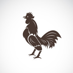 Vector of rooster or cock design on white background. Farm Animal.