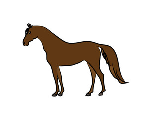 Drawing of brown horse on a white background. Sketch, drawing by hand.