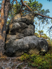 Unique rock formation, Errant Rocks of the Table Mountain National Park, Poland