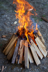Camp fire for barbecue