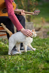 Young man with guitar and cat