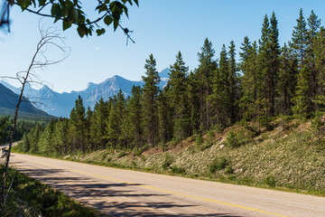 nature scenarios along the YellowHead Highway from Hinton to Jasper, Alberta, Canada