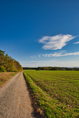 Fototapeta na wymiar Landschaft mit Feldern Wald und Feldweg im Herbst
