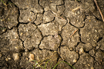 Waldboden Textur