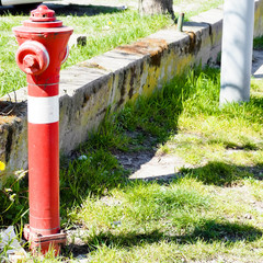 Fototapeta na wymiar Red fire cast-iron hydrant with a white stripe against the background of pillar grass and a low building on a sunny day in Europe