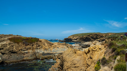 Fototapeta na wymiar der Point Lobos State Reserve Park in Kalifornien