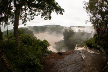Perspective from Iguazu 