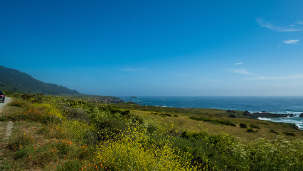 die grünen Wiesen am Highway One in Kalifornien 