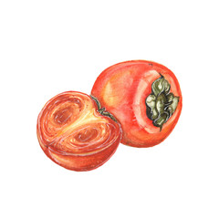 Watercolor illustration of a persimmon on a white background