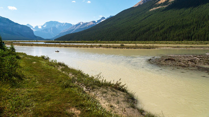 nature scenaries along the river Athabaska, Jasper National Park, Alberta, Canada