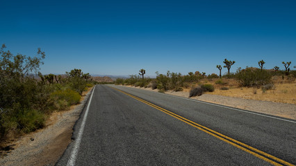 Blick von der Straße in die Ferne des Joshua Tree Nationalpark