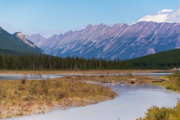 nature sceneries from the Athabaska riverbanks, Jasper, Alberta, Canada