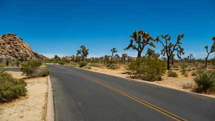 eine Straße führt durch die karge Landschaft