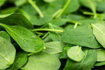 Portion of fresh Spinach (close-up shot)