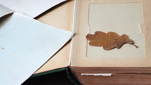 old book and dry oak leaf