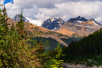 nature scenarios along the YellowHead Highway from Hinton to Jasper, Alberta, Canada
