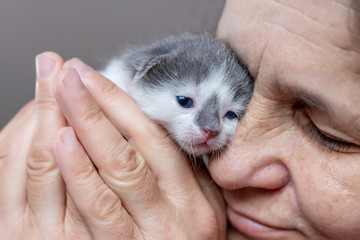 A woman holds a small newborn kitten near her face