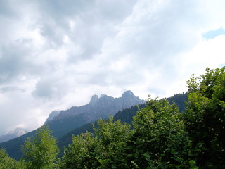 A tree with a mountain in the backgroundundefined