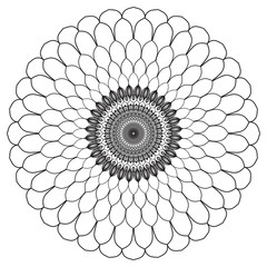 Abstract mandala graphic design decorative elements isolated on white color background for ancient geometric concepts