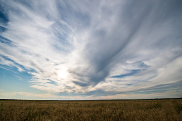 Obraz premium typical summer landscape, sown field and sunset sky