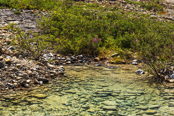 Columbia Icefield view, Jasper National Park, Alberta, Canada