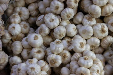 A Pile of Garlic