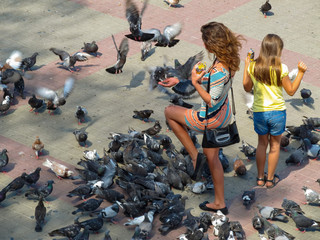 Pigeons and people