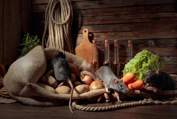 Rats on a wooden table with vegetables and kitchen utensils.