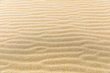 Waves of sand, iztuzu, Dalyan, Turkey.