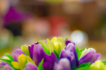 Tulips in a flower shop