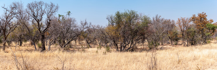 Fototapeta na wymiar Matopos (Matobo) National Park in southern Zimbabwe