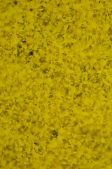 Close-Up Of  yellow Cleaning Sponge