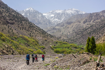 Mountaineers caravan hiking over a huge valley of the great atlas of morocco with huge snowy...