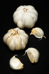Head and chive on a dark background