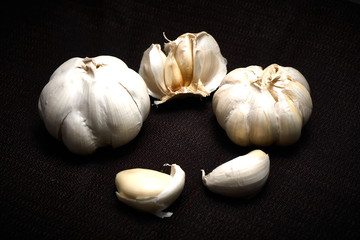 Head and chive on a dark background