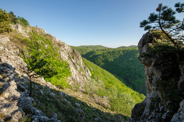 Fototapeta premium Krslenica hill in Little Carpathians, Slovakia