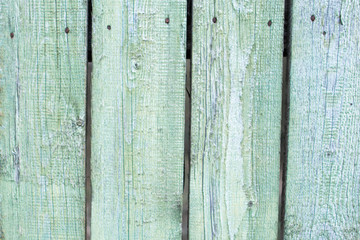 Background backsplash countrystyle wooden fence made from panels in rustic ecological style green with moss