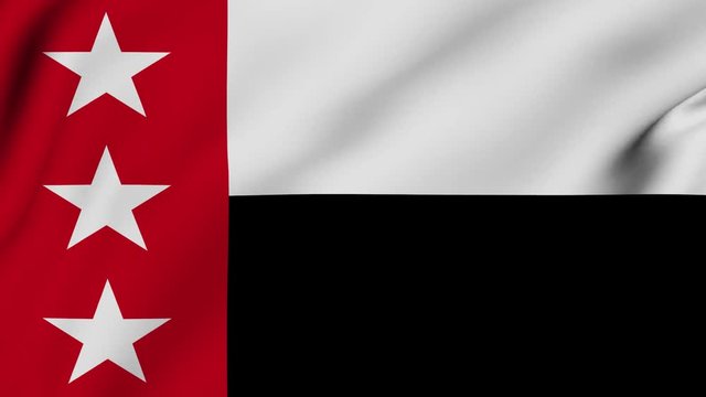 Laredo city of Texas flag is waving 3D animation. Laredo city of Texas state flag waving in the wind. Laredo city flag seamless loop animation. 4K